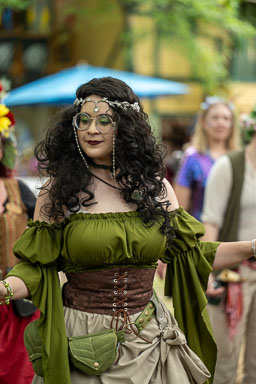Renaissence Festivals